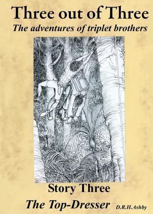 Cover of the book The Top-dresser by Armin Fischer, F. Scott Fitzgerald