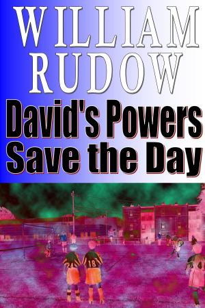 Cover of the book David's Powers Save the Day by Merita King