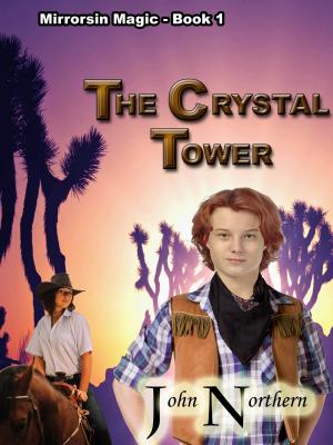 Cover of the book Mirrorsin Magick: Book 1 - The Crystal Tower by Sylvie Bardet