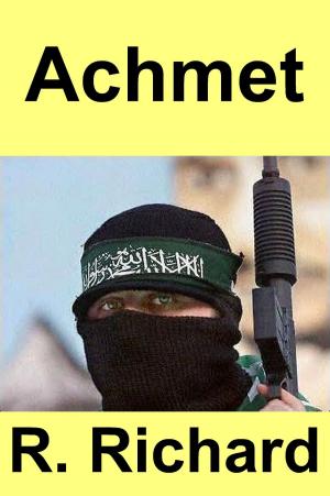 Cover of the book Achmet by Michael Jarvis