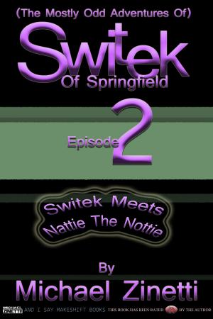 Book cover of Switek: Episode 2