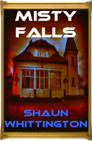 Cover of Misty Falls by Shaun Whittington, Shaun Whittington
