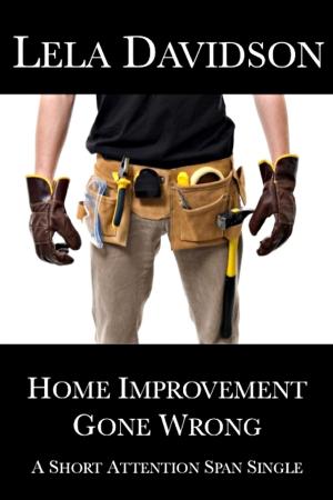 Cover of the book Home Improvement Gone Wrong by Jon Doolan