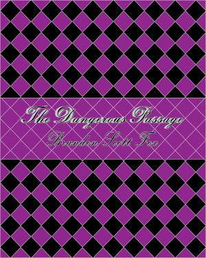 Cover of the book The Dangerous Passage (2 of 4) by Bruce Trzebinski