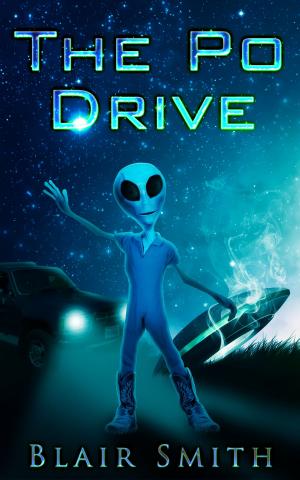 Cover of the book The Po Drive by Steven Sherrill