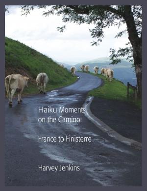Cover of the book Haiku Moments On the Camino: France to Finisterre by The Colorado Mountain Club