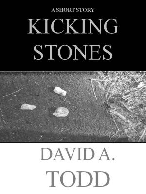 Book cover of Kicking Stones