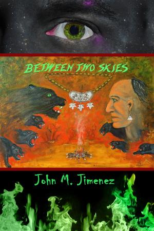Book cover of Between Two Skies