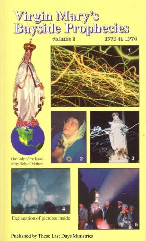 Cover of the book Virgin Mary’s Bayside Prophecies: Volume 2 of 6 - 1973 to 1974 by Dallas James