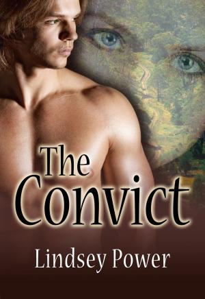 Cover of the book The Convict by Alexa Grave