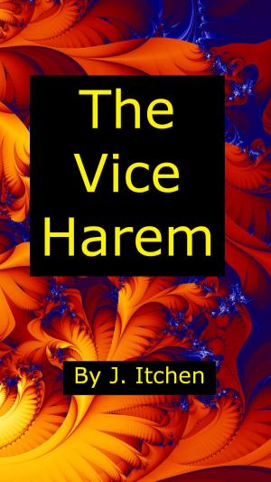 Book cover of The Vice Harem