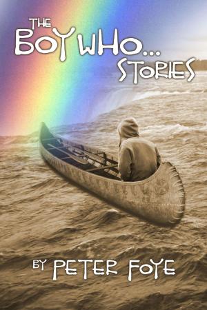 Cover of the book The Boy Who Stories by Emma J Lane