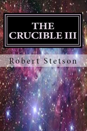 Book cover of The Crucible III