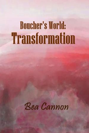 bigCover of the book Boucher's World: Transformation by 