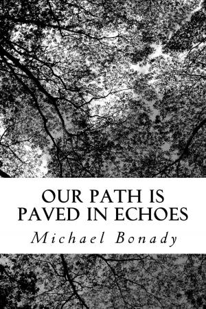 Cover of the book Our Path is Paved in Echoes by Christopher Cunningham