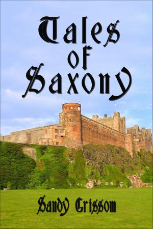 bigCover of the book Tales of Saxony by 