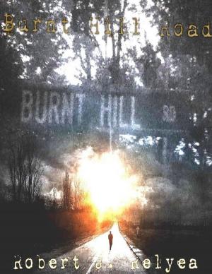 Cover of the book Burnt Hill Road by Tina Long