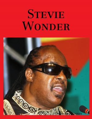 Book cover of Stevie Wonder