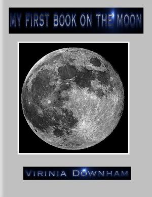 Cover of the book My First Book on the Moon by Isa Adam