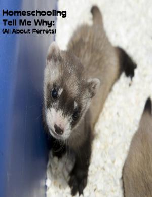 Cover of the book Homeschooling Tell Me Why: (All About Ferrets) by Robert Davis