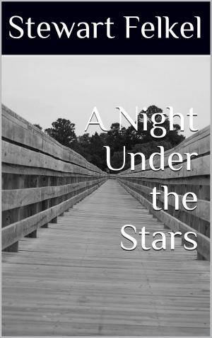 bigCover of the book A Night Under the Stars by 
