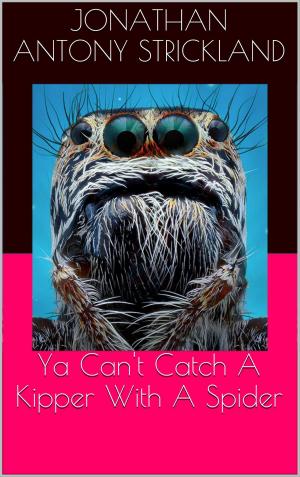 Cover of the book Ya Can't Catch A Kipper With A Spider by Chris Mitchell