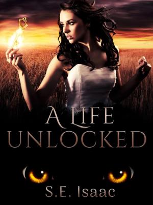 Book cover of A Life Unlocked