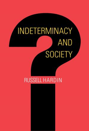 bigCover of the book Indeterminacy and Society by 
