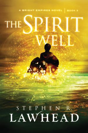 Cover of the book The Spirit Well by Beth Wiseman