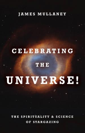 Cover of the book Celebrating the Universe! by Rupert Sheldrake, Terence McKenna, Ralph Abraham