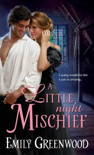 Book cover of A Little Night Mischief