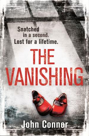 Cover of the book The Vanishing by Marie Helvin