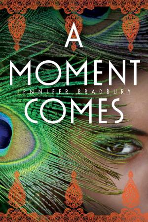 Cover of the book A Moment Comes by Phyllis Reynolds Naylor