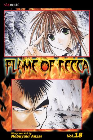 bigCover of the book Flame of Recca, Vol. 18 by 
