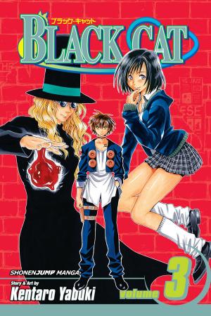 Cover of the book Black Cat, Vol. 3 by Yoshiki Nakamura