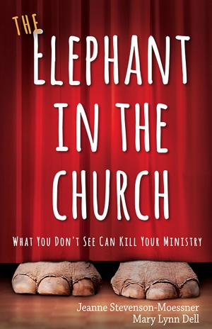 Cover of the book The Elephant in the Church by Adam Hamilton
