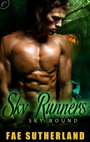 Cover of the book Sky Runners by Delphine Dryden