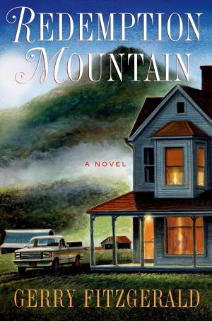 bigCover of the book Redemption Mountain by 