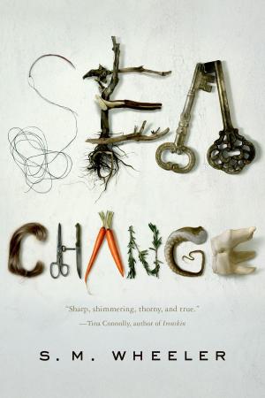 Cover of the book Sea Change by Cathy Clamp