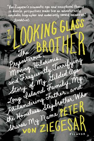 Book cover of The Looking Glass Brother