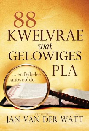 Cover of the book 88 kwelvrae wat gelowiges pla (eBoek) by Retah McPherson