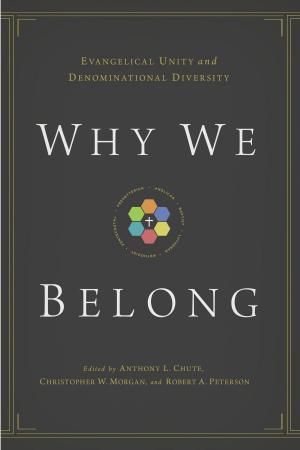 Book cover of Why We Belong