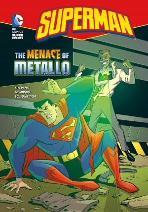 Cover of the book Superman: The Menace of Metallo by Steve Brezenoff