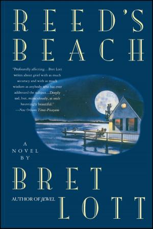 Cover of the book Reed's Beach by Quinn Dalton