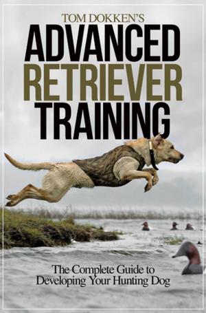 Cover of the book Tom Dokken's Advanced Retriever Training by Stéphanie Brière