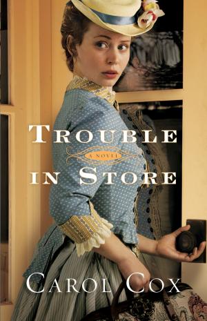 Cover of the book Trouble in Store by Jody Hedlund