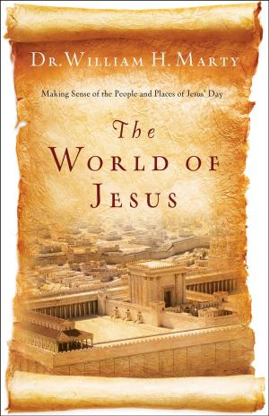 Book cover of The World of Jesus