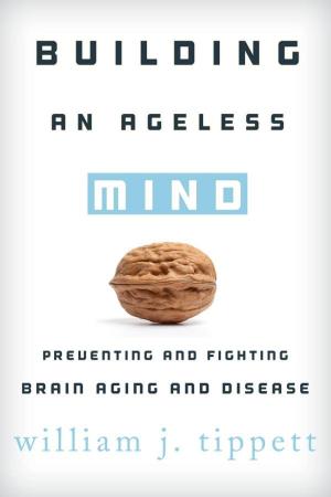Cover of the book Building an Ageless Mind by Benjamin Fleury-Steiner