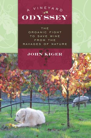 Cover of the book A Vineyard Odyssey by George A. Baker III, Robert R. Rose, John E. Roueche Ph.D, president, Roueche Graduate Center, National American University