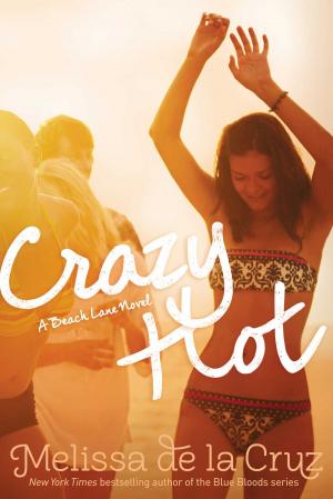 Cover of the book Crazy Hot by Margaret Peterson Haddix